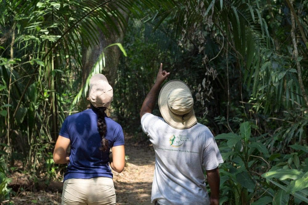 Belize Audubon Society guide explaining trail biodiversity