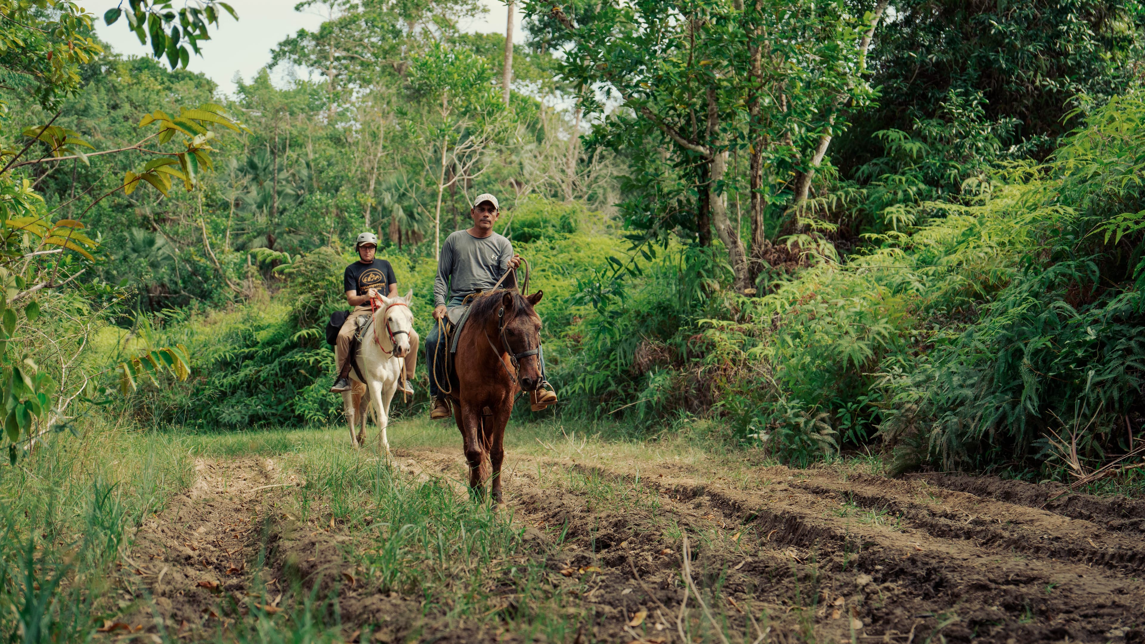 Horseback Riding Adventure photo 2