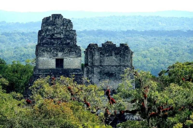 Tikal Mayan Ruins (Guatemala) photo 3