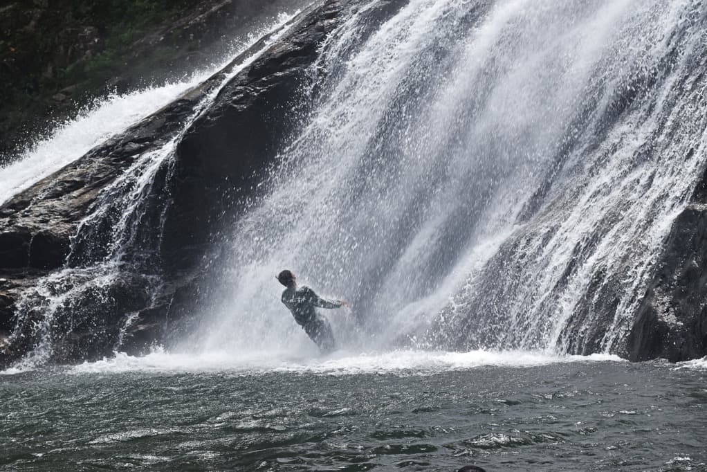 Davis Falls – The Ultimate Waterfall Escape