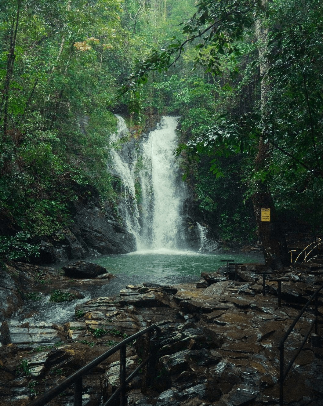 Waterfall rappelling in Belize rainforest
